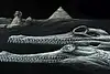 45-million-year-old crocodile discovered in Egypt: What did scientists find?