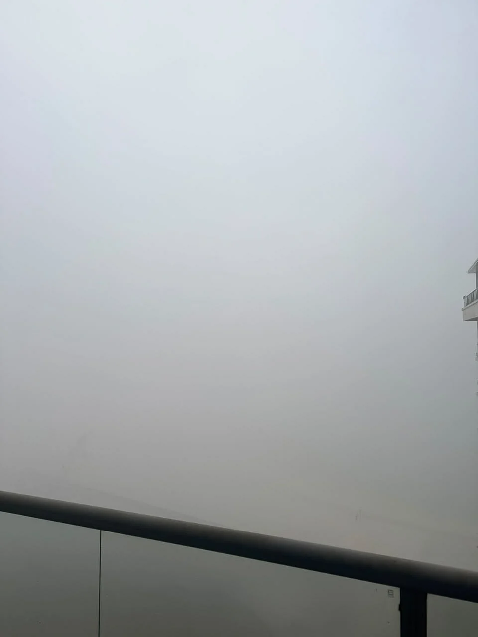 UAE weather: Fog blankets several emirates; rain likely today