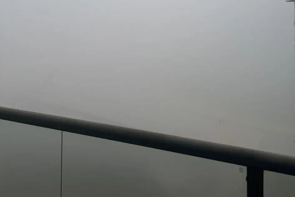 UAE weather: Fog blankets several emirates; rain likely today