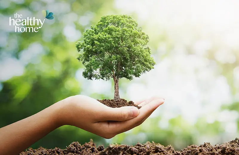 Improved Environment How to Improve Indoor and Outdoor Environment Quality | Khaleej Times