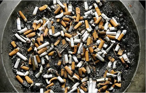 tobacco crossword Smoking Crossword