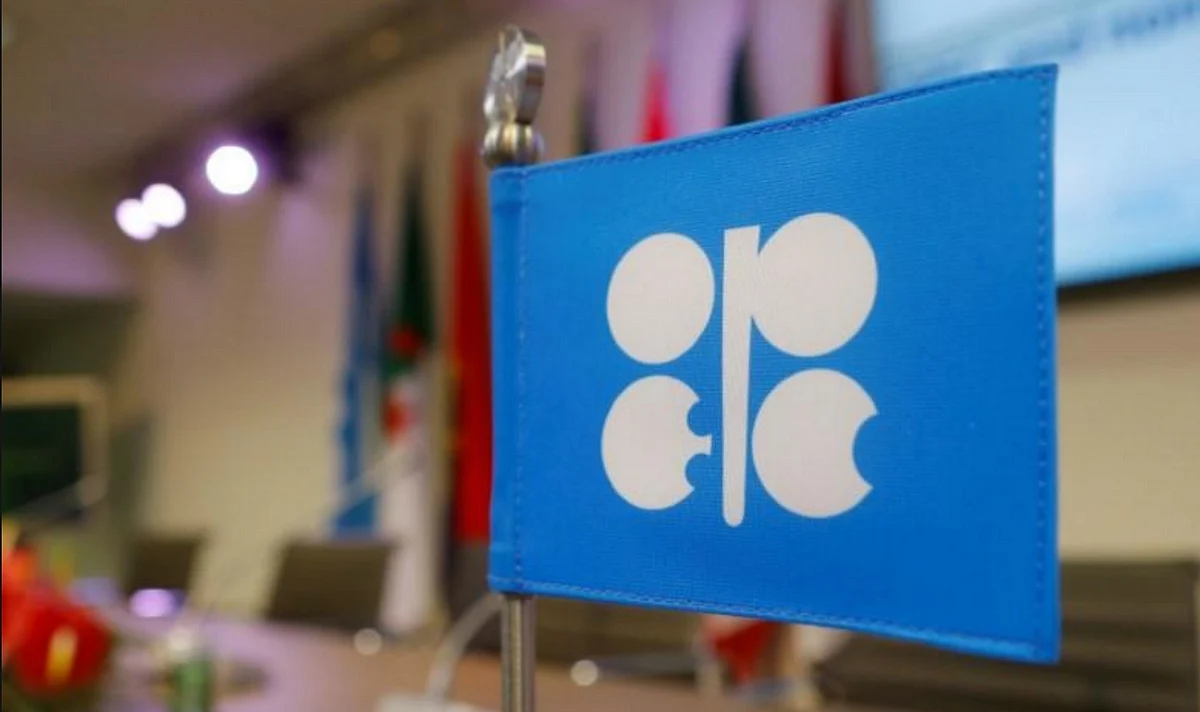Qatar to withdraw from OPEC as of January 2019: Minister