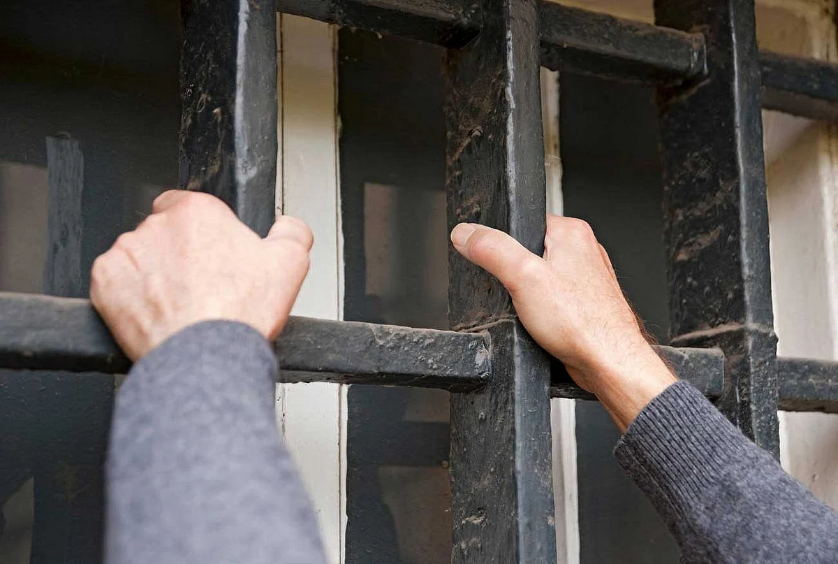 UAE academic certificate forgery can lead to 3 years in prison, Dh30,000 fine