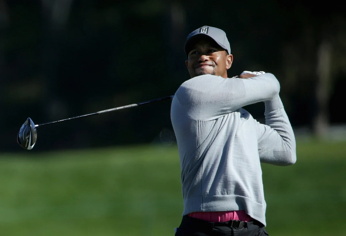 Players praise Tiger for getting help, await return