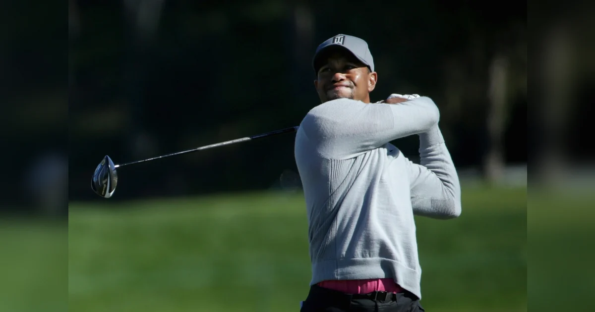 Players praise Tiger for getting help, await return