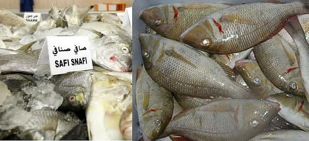 Banned Sheri, Safi fish seized from Ras Al Khaimah shop | Khaleej Times