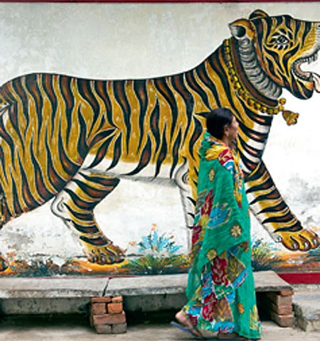 Changing trends: Asian Tigers? | Khaleej Times