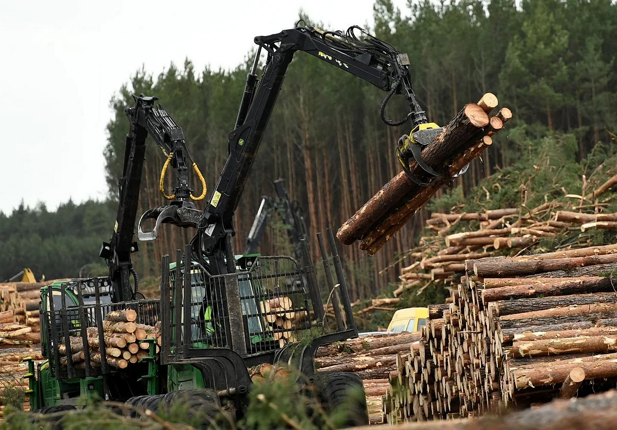Tesla resumes tree-cutting in Germany to build Gigafactory | Khaleej Times