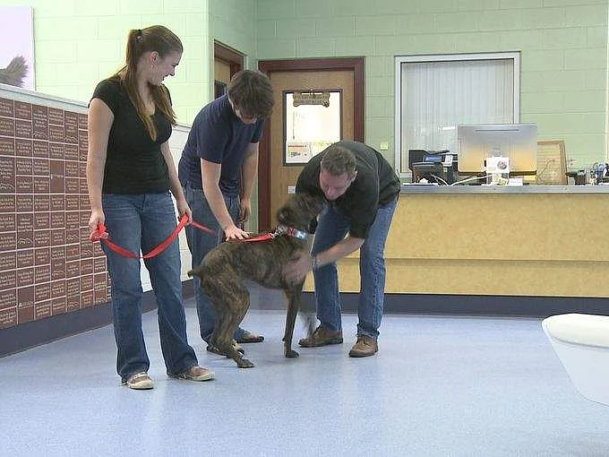 Alabama family reunites with dog missing for 9 years | Khaleej Times