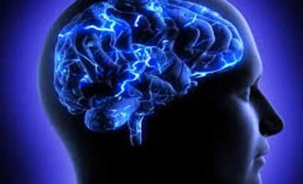 Brain food for thought | Khaleej Times