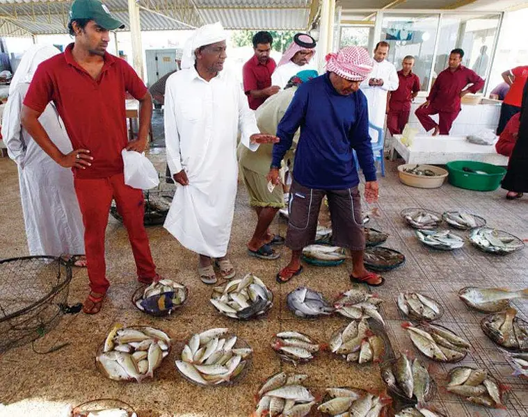 Fishing In Rak Strong winds halt fishing in RAK, residents look elsewhere | Khaleej Times