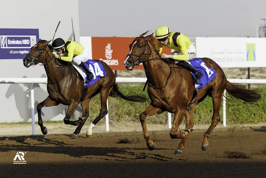 Costa at the heart of Jebel Ali's most dominant racing season in years ...