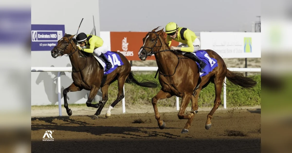 Costa at the heart of Jebel Ali's most dominant racing season in years ...
