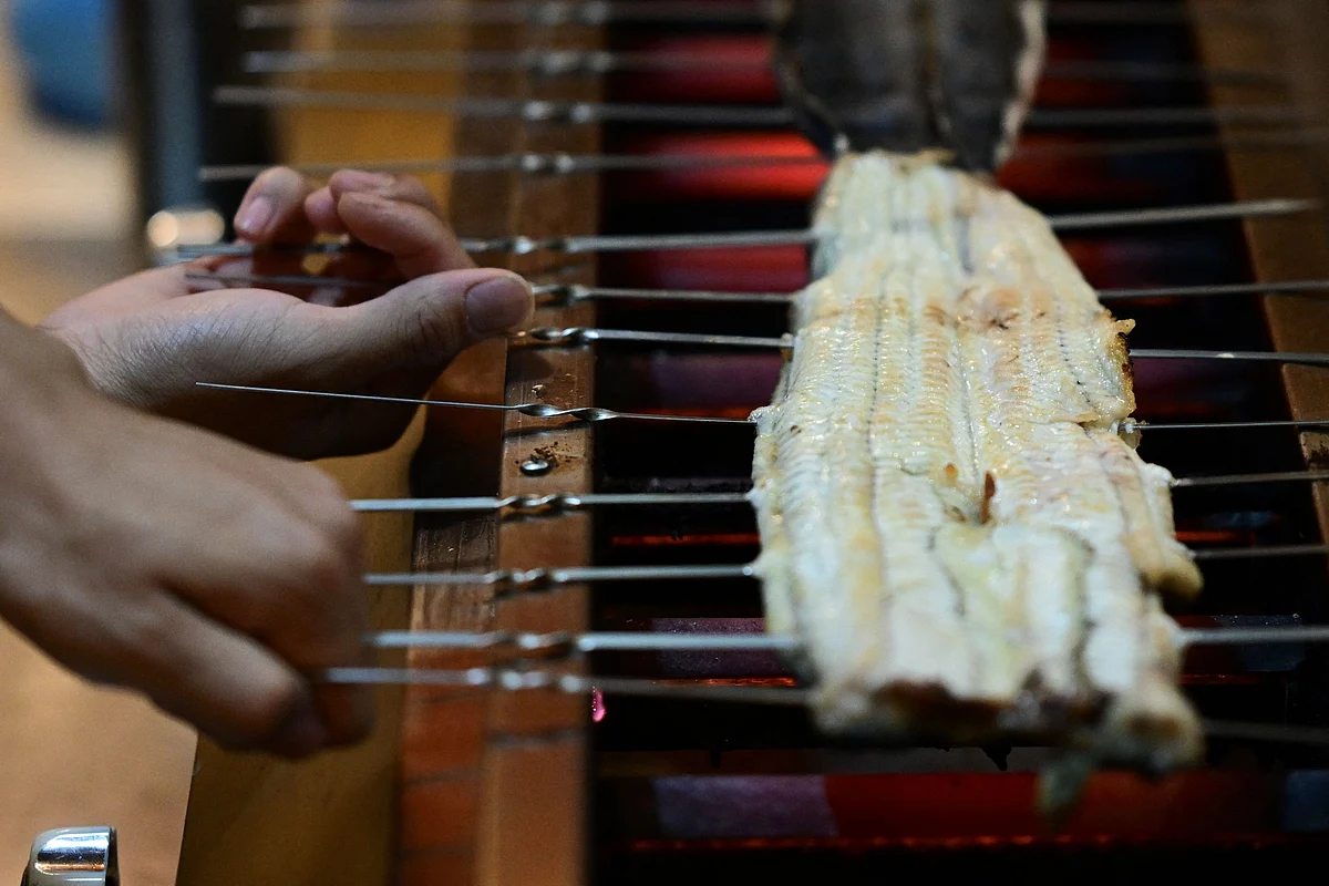 Grilled eel leaves one dead, 140 sick in Japan | Khaleej Times