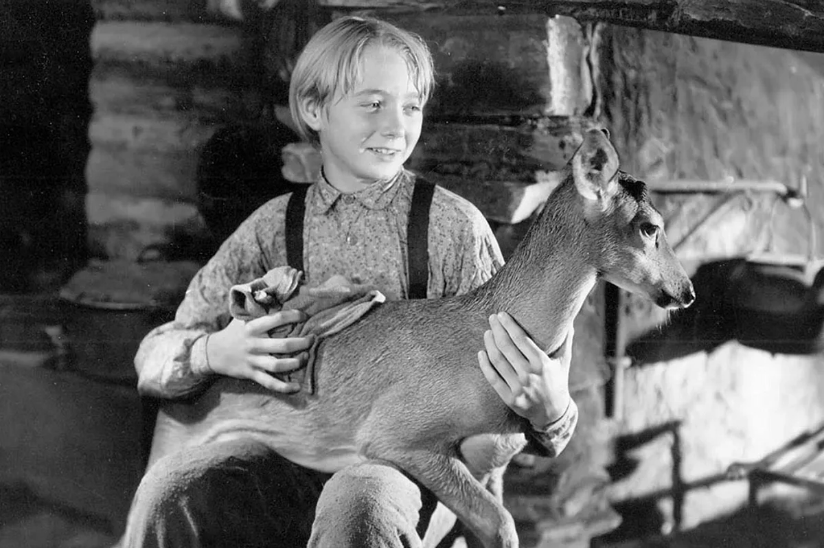 Claude Jarman Jr., star of 'The Yearling,' passes away | Khaleej Times