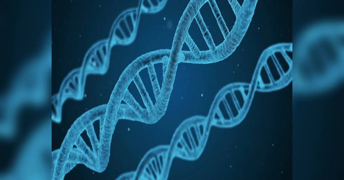 From driving a car to swinging a tennis racket, astrocyte cells could ...