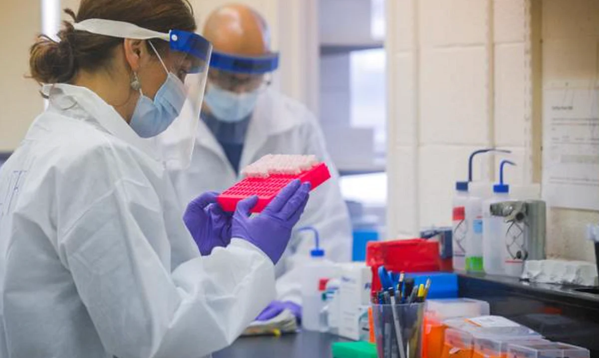 Can you get Covid twice? New trial studies if people can catch ...