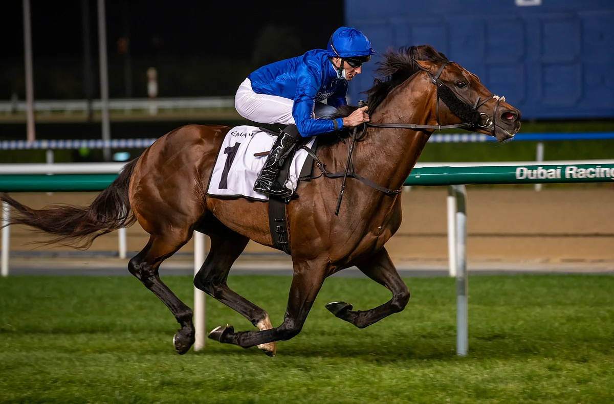 Dubai Racing Club announces collaboration with Zuma for World Cup