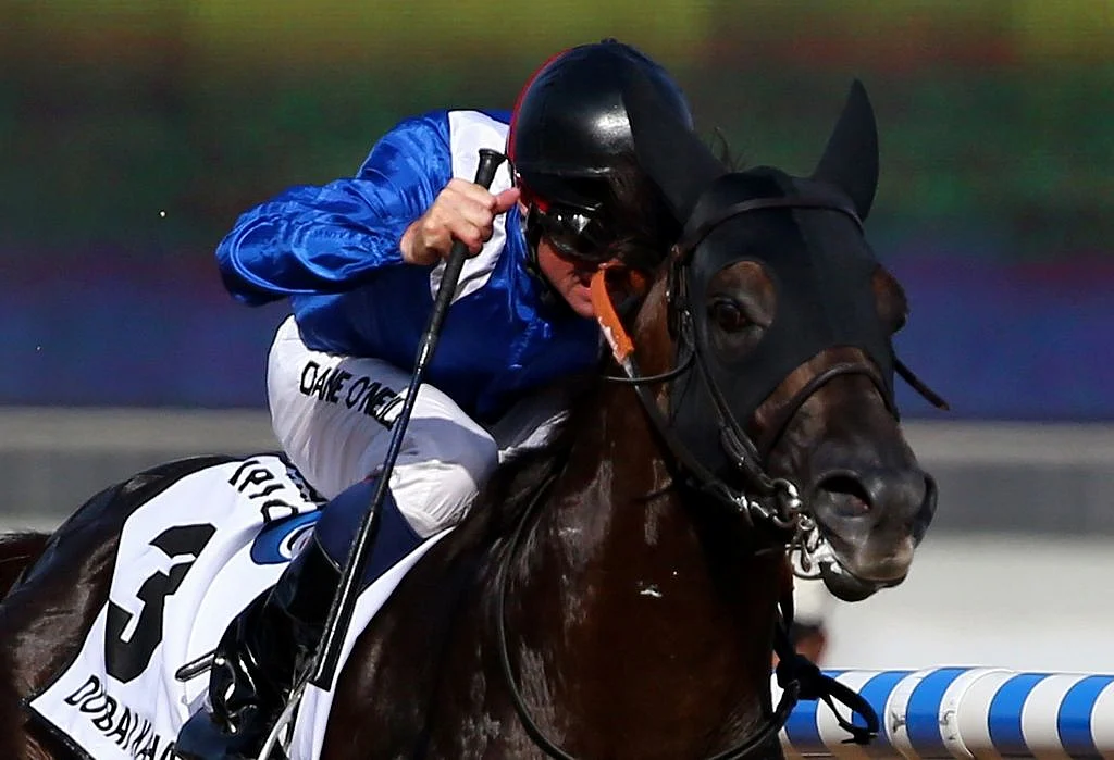 World's richest Arabian race launches new Abu Dhabi season | Khaleej Times