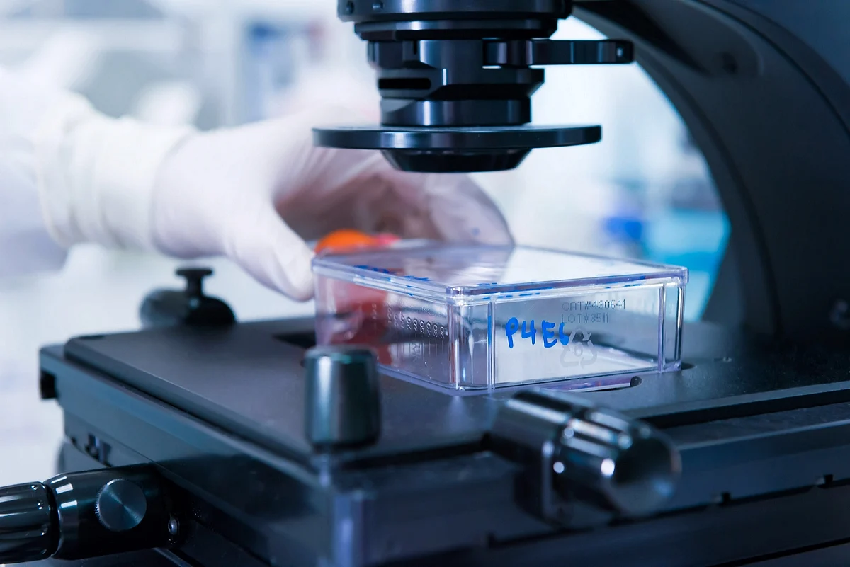 Cleveland Clinic Abu Dhabi blood test reveals hidden inherited cancer ...