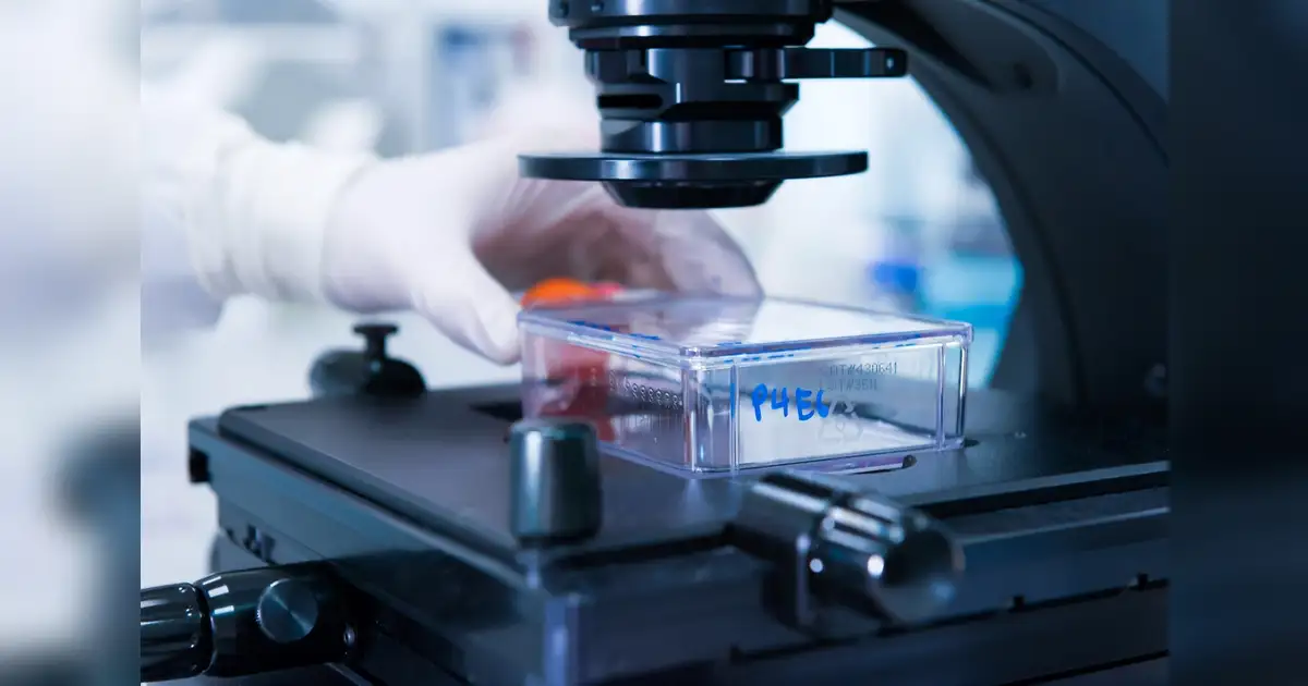 Cleveland Clinic Abu Dhabi blood test reveals hidden inherited cancer ...