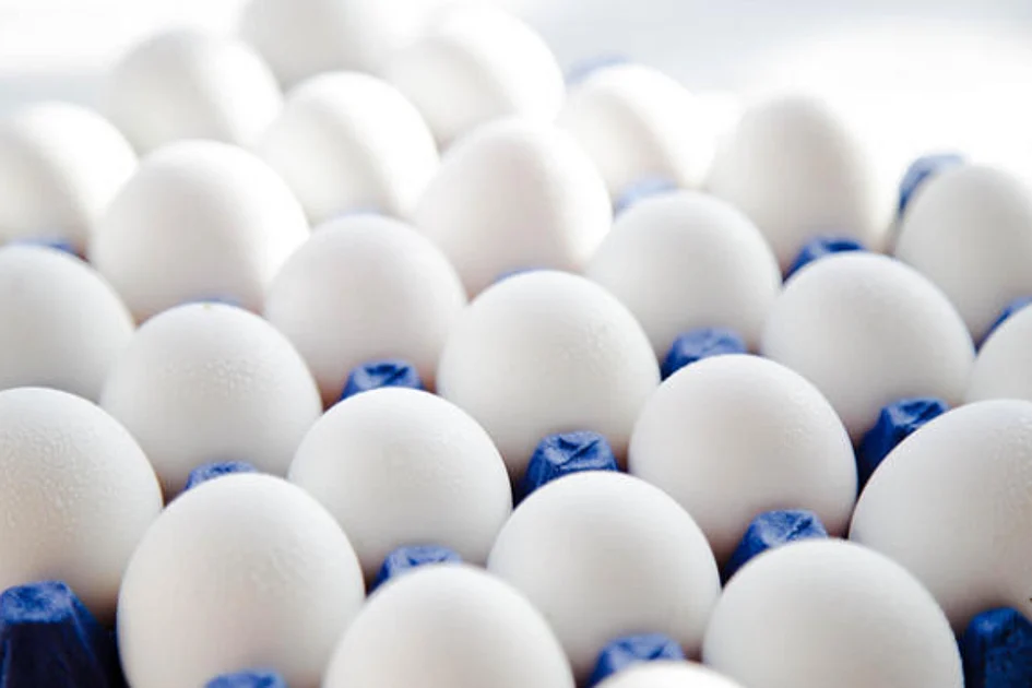 UAE's Al Ain Farms to double egg production, to become one of GCC’s ...