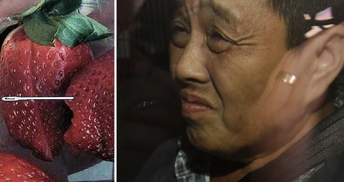 Strawberry scandal: Workplace grievance alleged for fruit sabotage ...