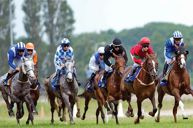 Samima gallops to glory | Khaleej Times