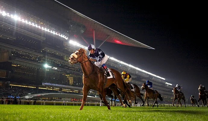 New racing season to start at Dubai's Meydan on Thursday | Khaleej Times