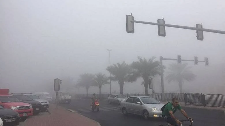 UAE weather: Dense fog blankets parts of Abu Dhabi, temperatures set to ...