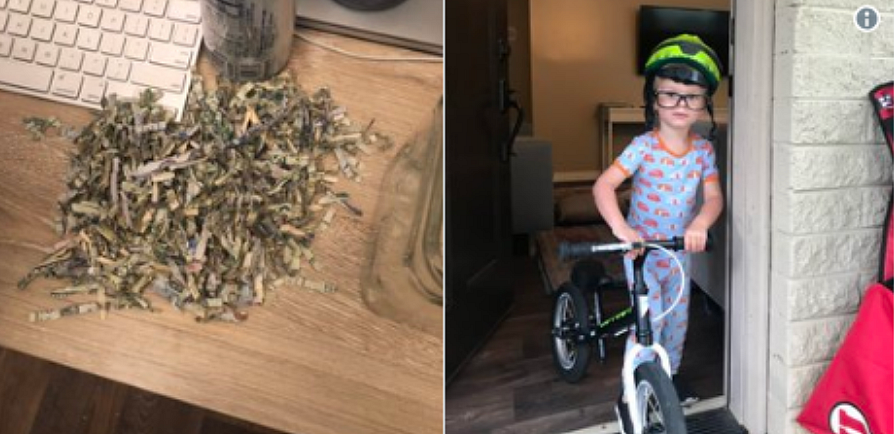2-year-old shreds parents' Dh3,670 savings | Khaleej Times