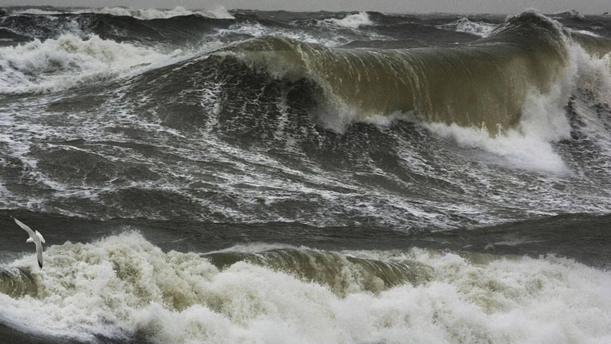 UAE weather: Rough sea warning issued for Thursday morning | Khaleej Times
