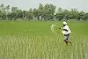 Strait of Hormuz closure disrupts India’s fertiliser supply ahead of sowing season