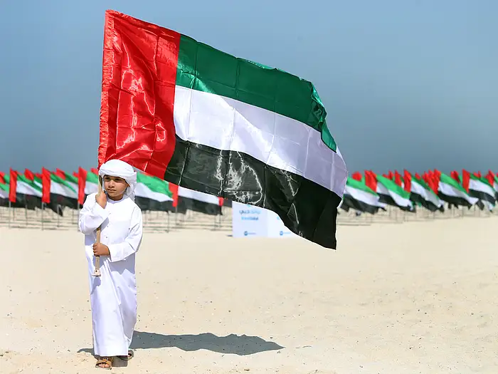 Unity Engine New Rect What is UAE’s new online pledge and why are residents invited to join ...