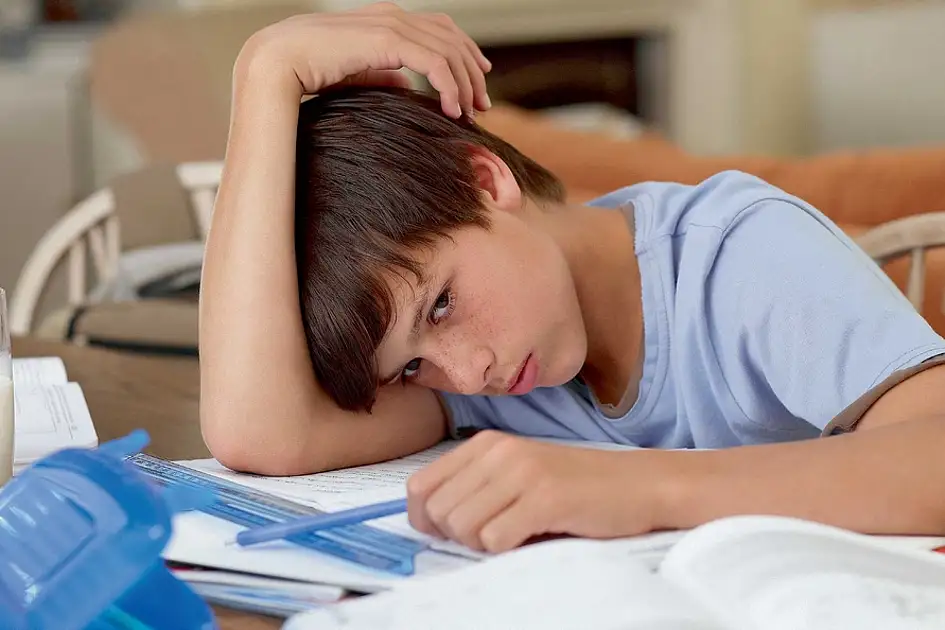 UAE students reveal how they use ChatGPT for learning as schools lay down ...