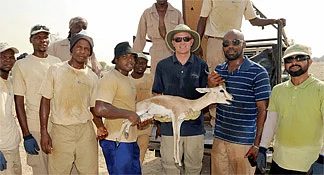 Stray Gazelle In Safe Hands Finally Khaleej Times