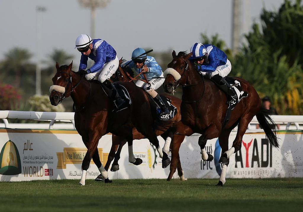 Horse racing: Emirates Championship highlights penultimate Abu Dhabi ...