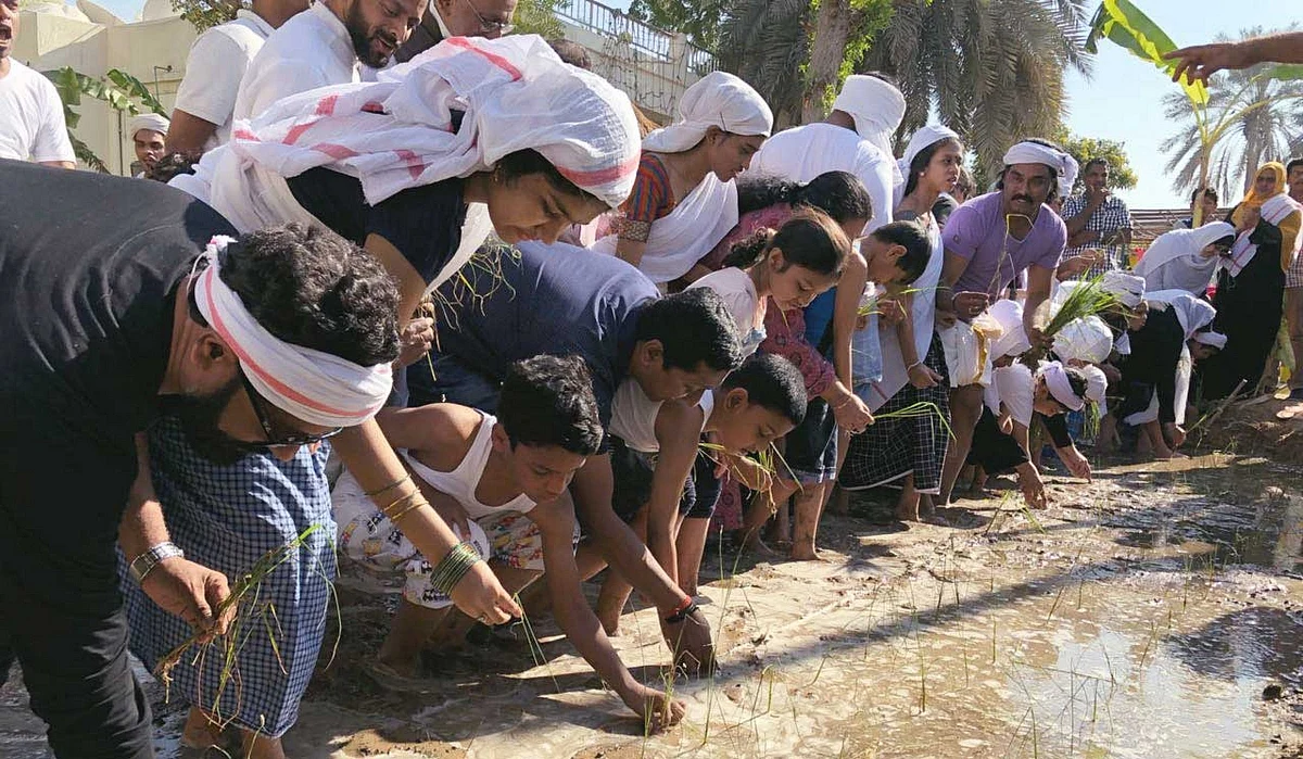 Sharjah gets a rice field thanks to these 69 special needs kids ...