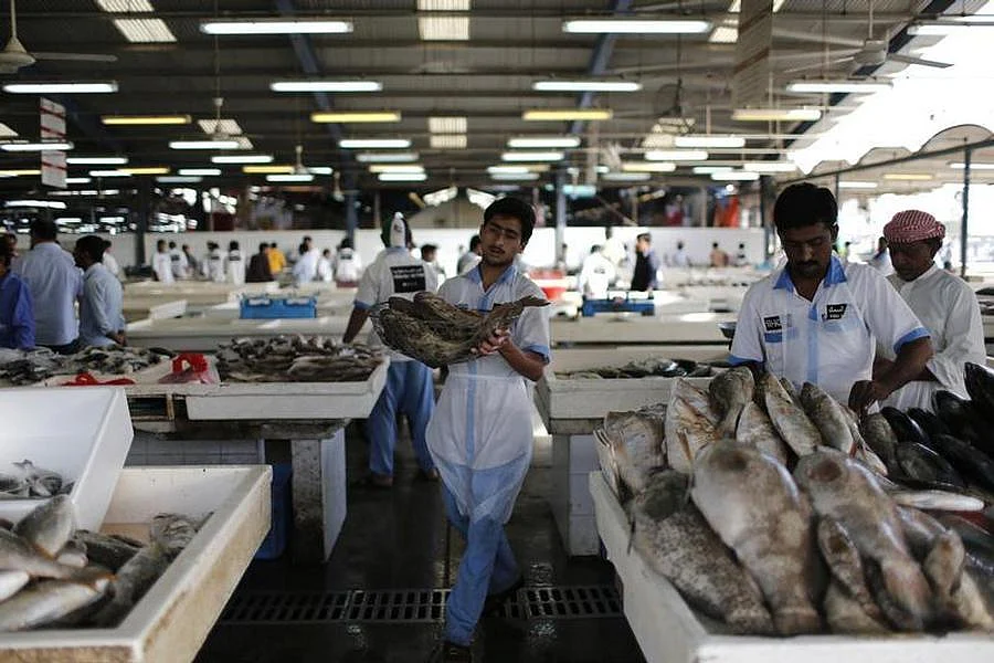 Why 2 fish varieties have been banned in UAE for 2 months | Khaleej Times