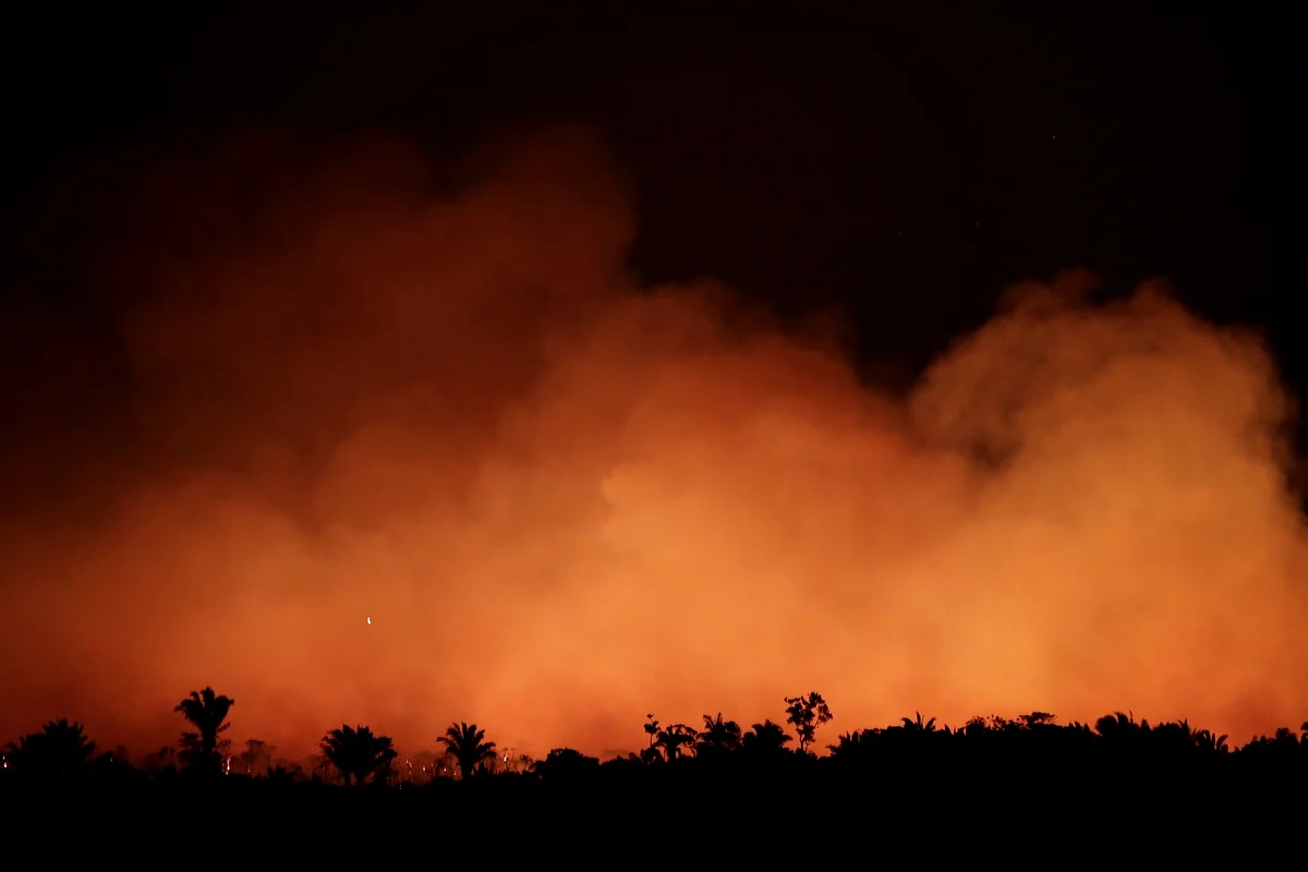 Fires in Amazon rainforest rage at record rate | Khaleej Times