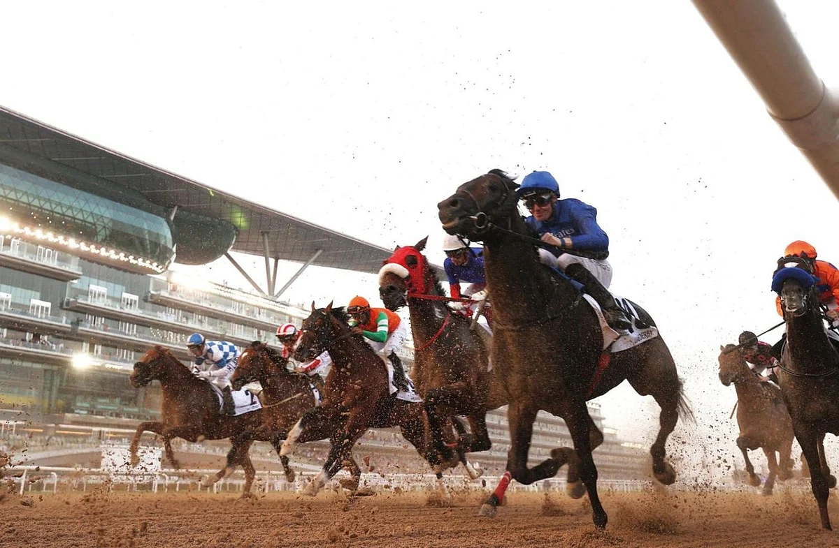 Arabians in Meydan spotlight as Dubai Racing Carnival stages gripping ...