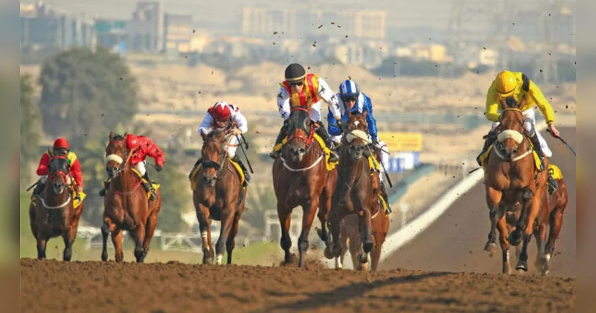 All eyes on in-form handler Michael Costa's string as racing returns to ...