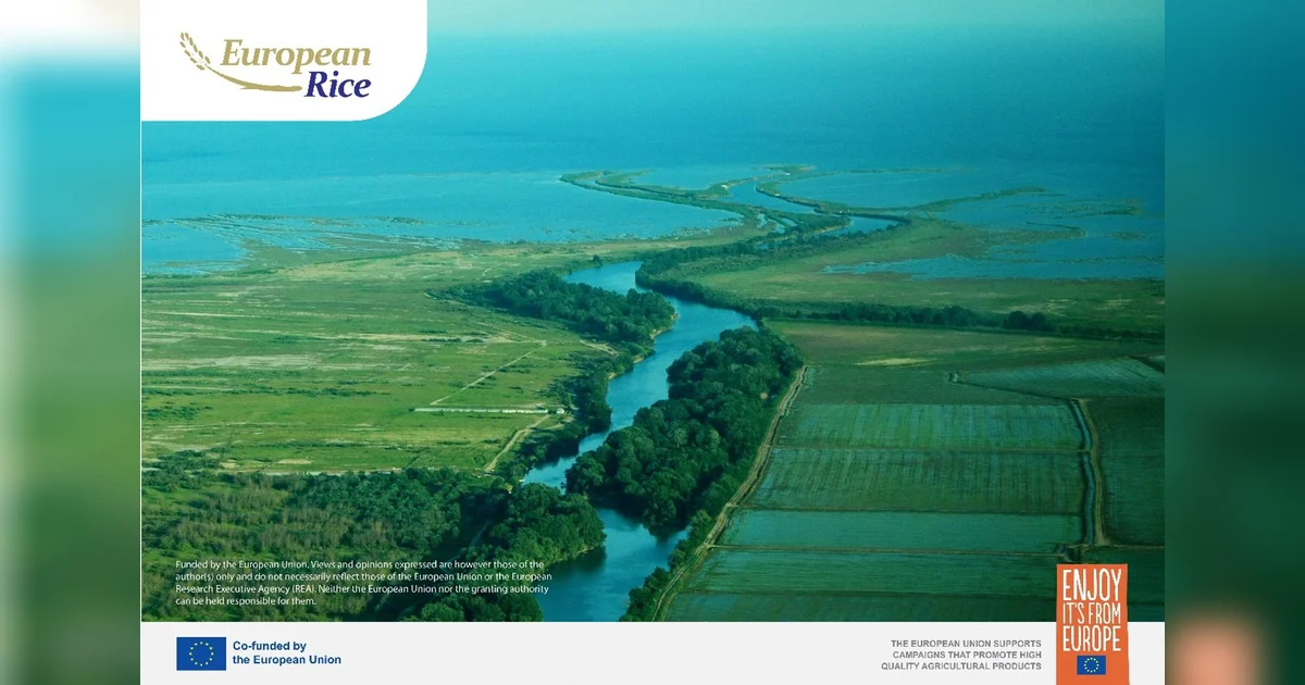 European Rice emphasises the need for sustainable farming | Khaleej Times