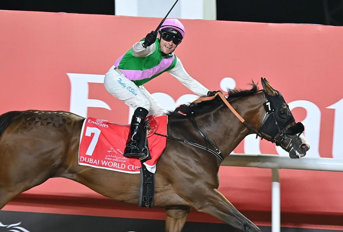 Watch: Laurel River wins $12 million Dubai World Cup  | Khaleej Times