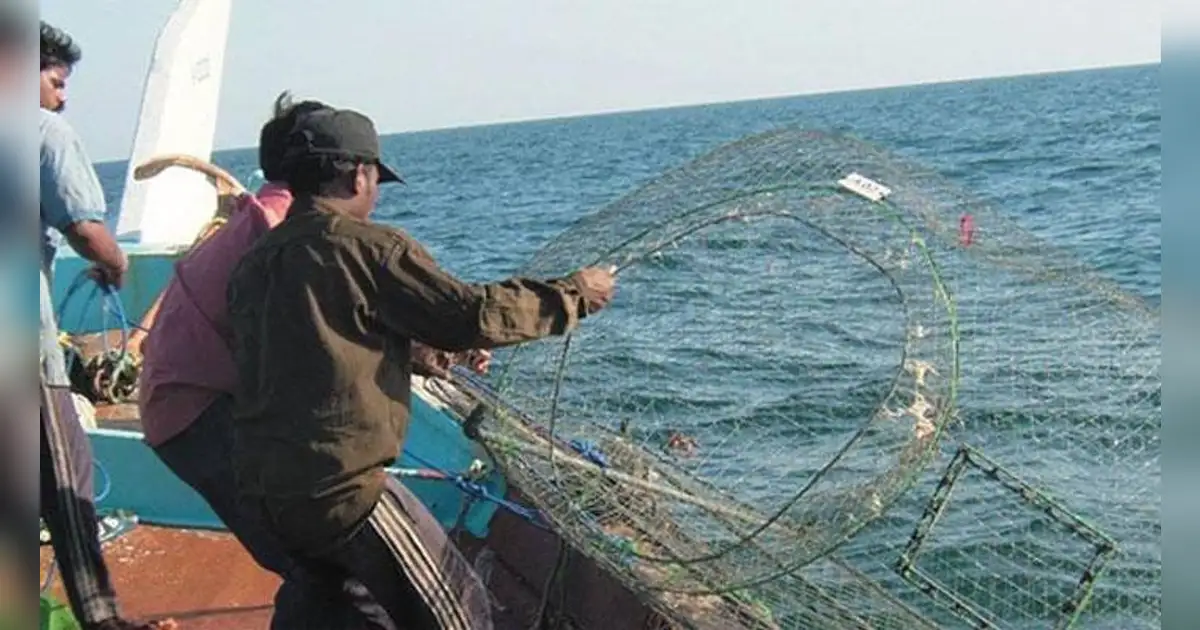 buy fishing net dubai Das Departmental Store's Nylon 40 feet Long (Fashi Jaal) (4 Finger Hole): Online at Best Price in UAE The handle is made of 36 inch anodize octagonal aluminum 151 Best Fishing Nets & Gaffs