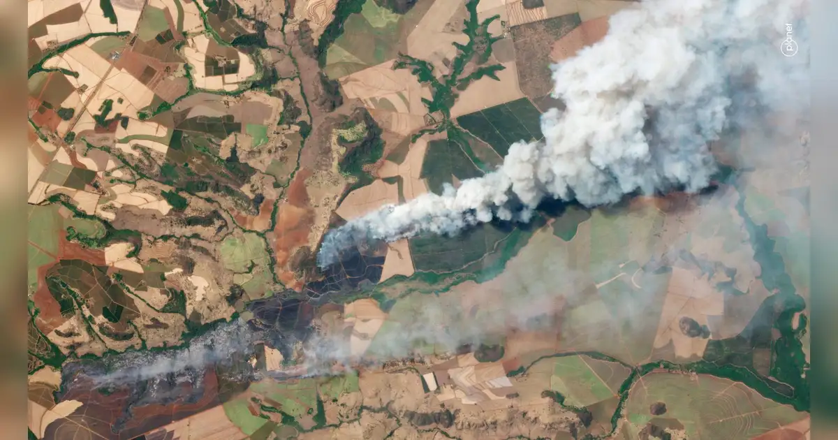 Brazil Engine Fire Four arson suspects arrested for setting wildfires in Brazil | Khaleej ...