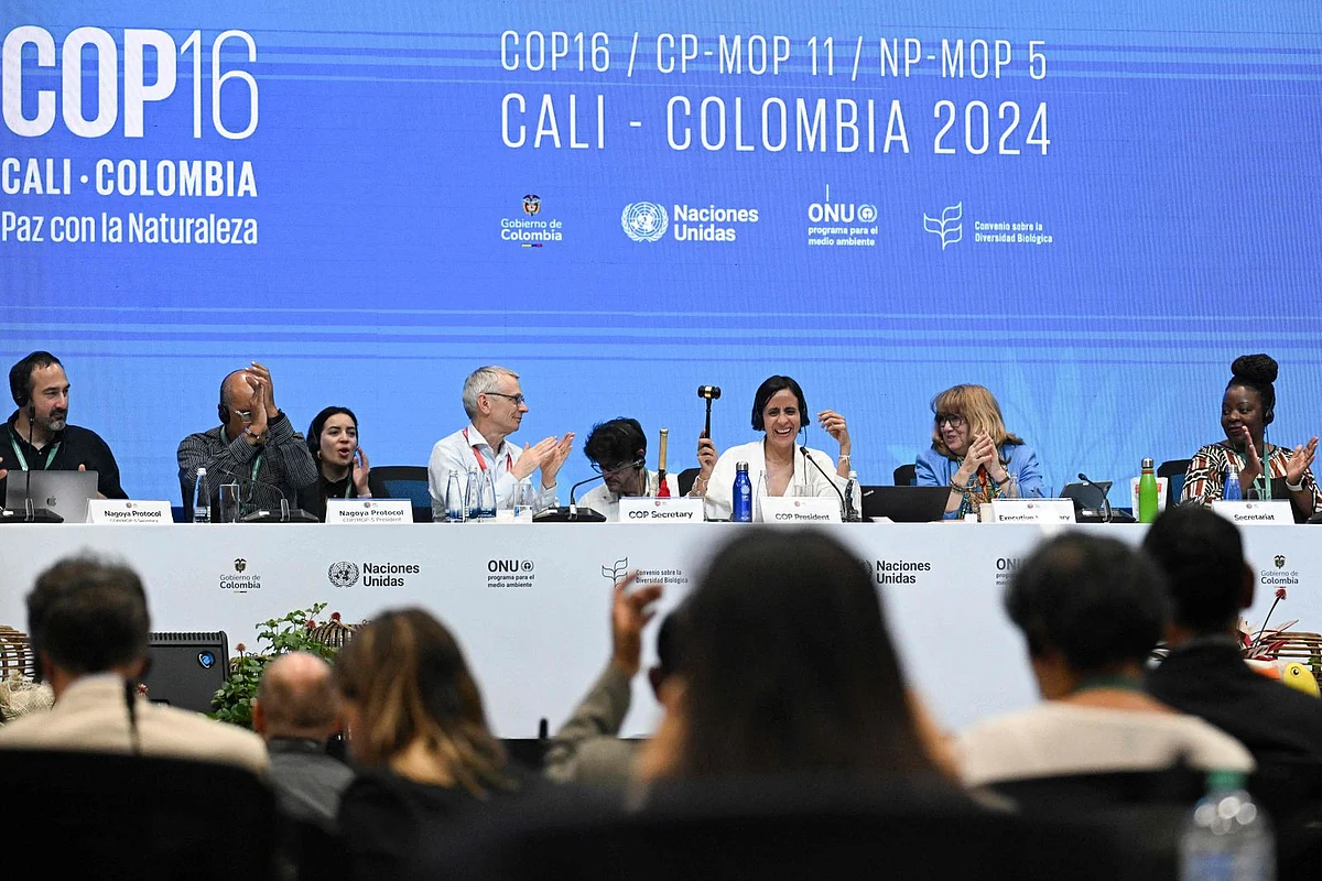 UN talks on saving nature stumble on finance hurdle | Khaleej Times