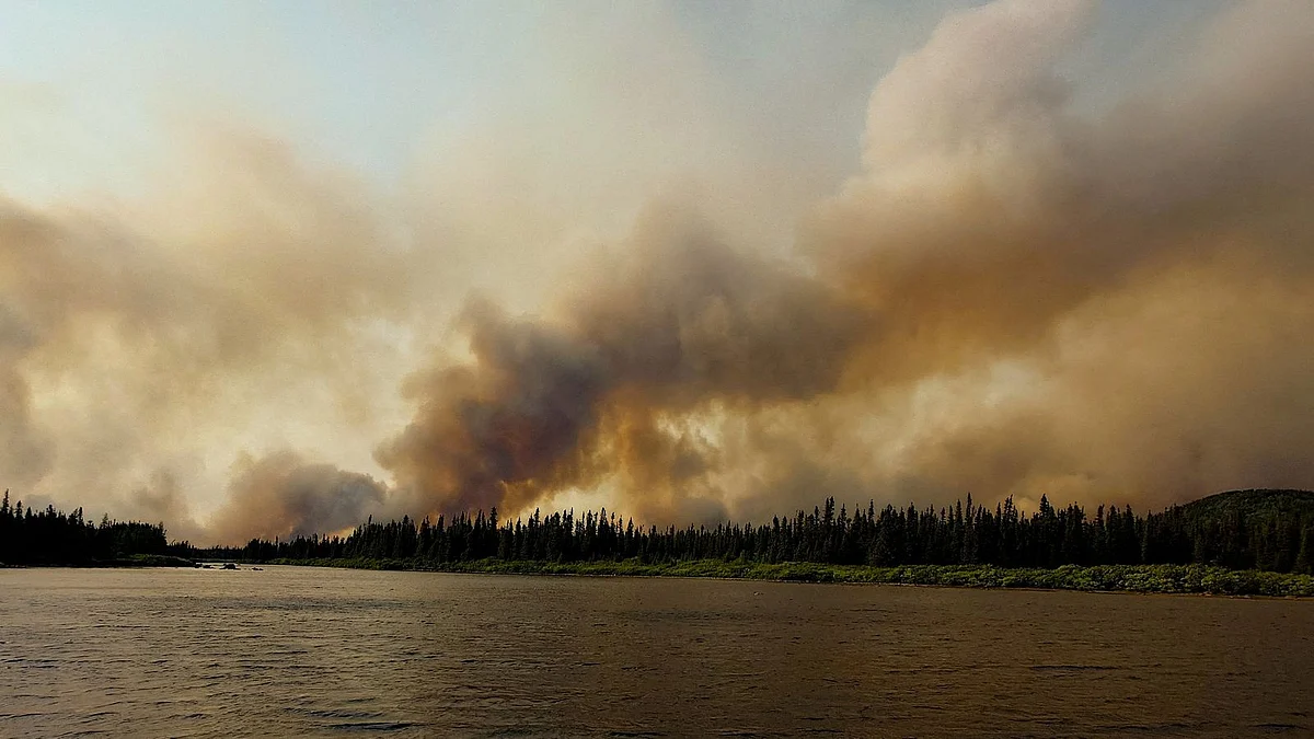 Thousands forced to flee western Canadian town as wildfires approach ...
