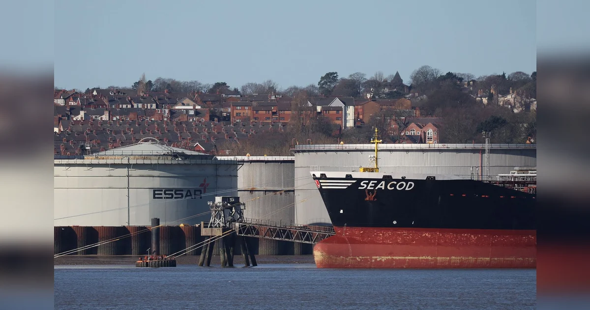 Oil stocks to rise on slower demand, OPEC cuts needed to bolster prices ...