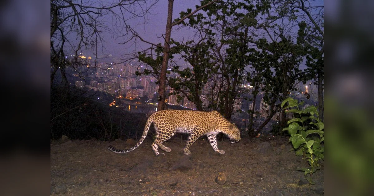 mumbai ramadan eid 2025 mumbai ramadan eid 2025